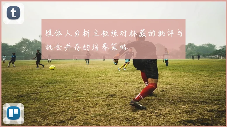 媒体人分析主教练对林葳的批评与机会并存的培养策略